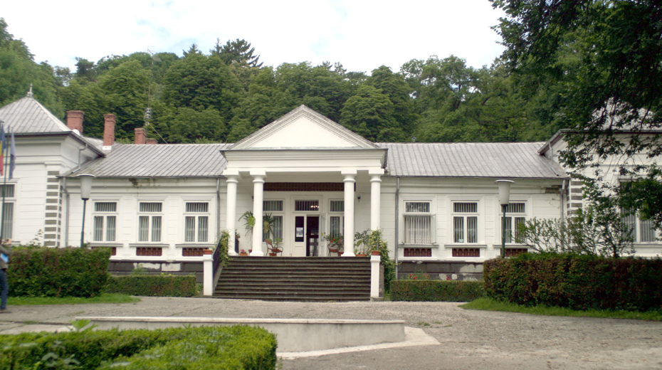 Casa-memoriala-George-Enescu
